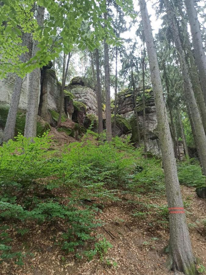 Chaty V Ceskem Raji U Prachovskych Skal - Mala Chata Pro 4 - Velka Chata Pro Az 7 Osob - Ubytovani V Soukromi Jičín Exterior foto